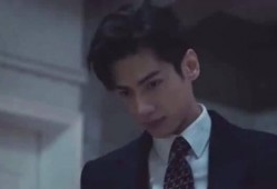 半分蜜糖半分伤在线观看,甜蜜与伤痛交织的情感之旅