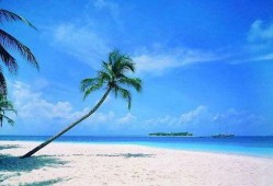 海南旅游最新爆料消息,秘境探险与海岛风情尽享之旅